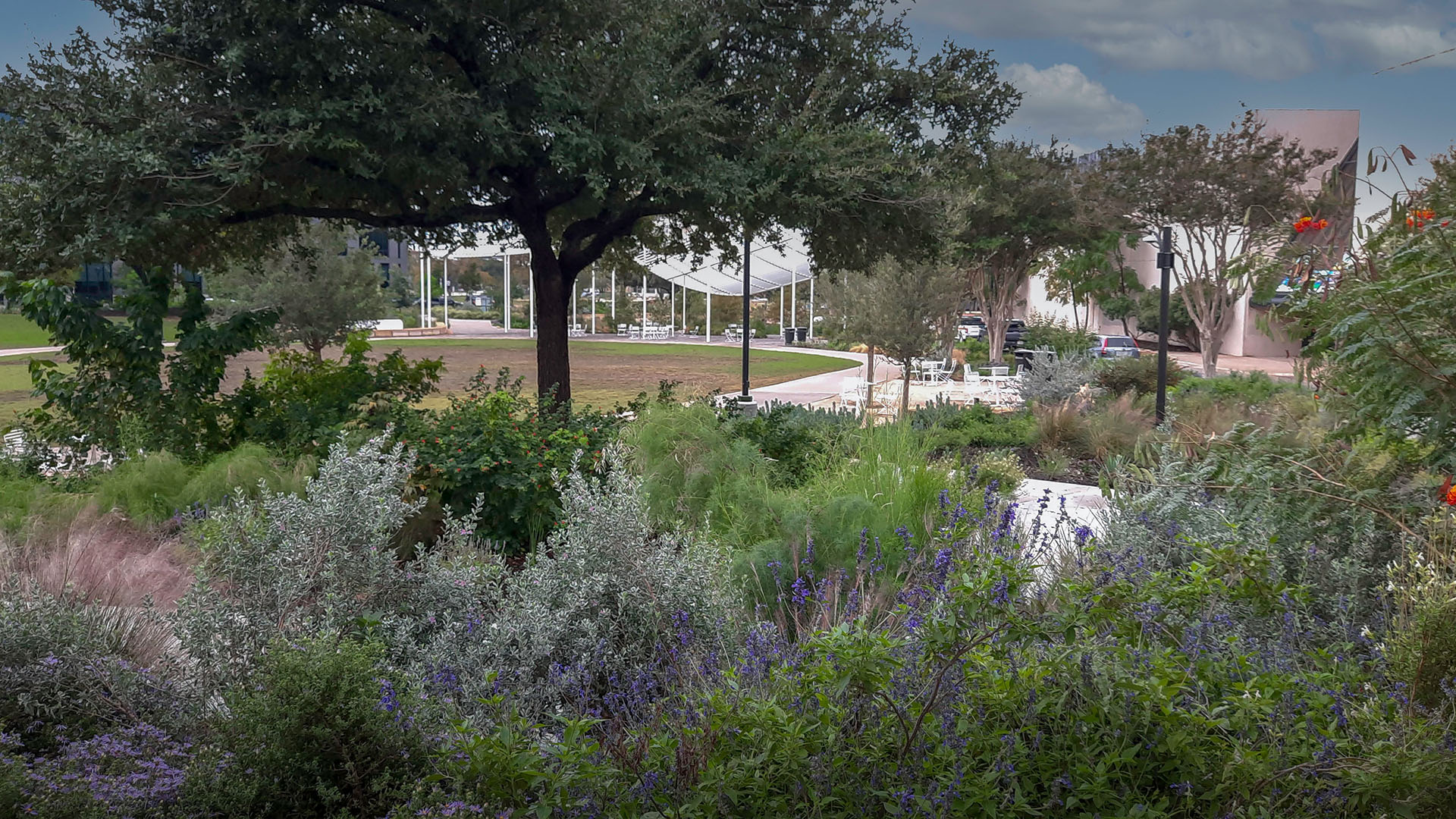 Garden 2913 ST. JOHN ENCAMPMENT dwg