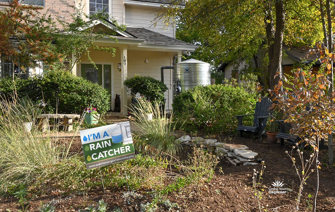 rain catcher sign in front of rain garden; a metal rain tank at the porch