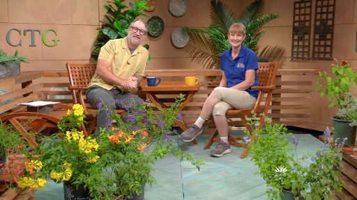 John Hart and Robin on CTG set with lots of plants