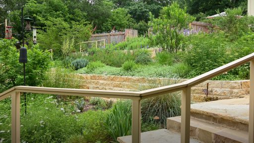 limestone raised beds with native and adapted plants