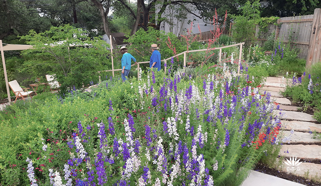 a woman and man walking down stairs; larkspurs in foreground
