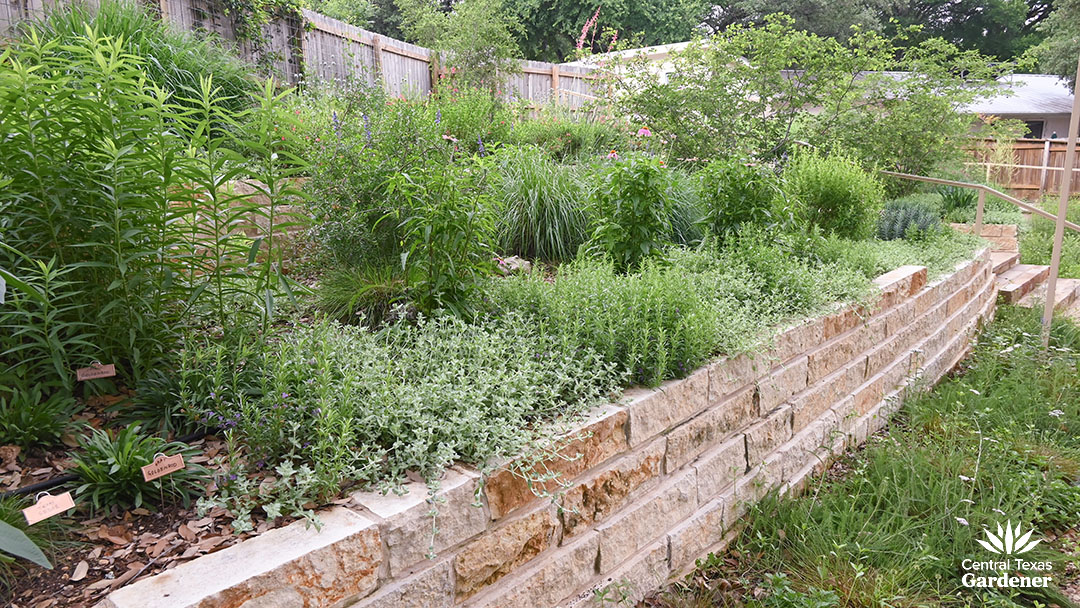 limestone planter filled with native perennials, grasses, groundcovers, small shrubby trees