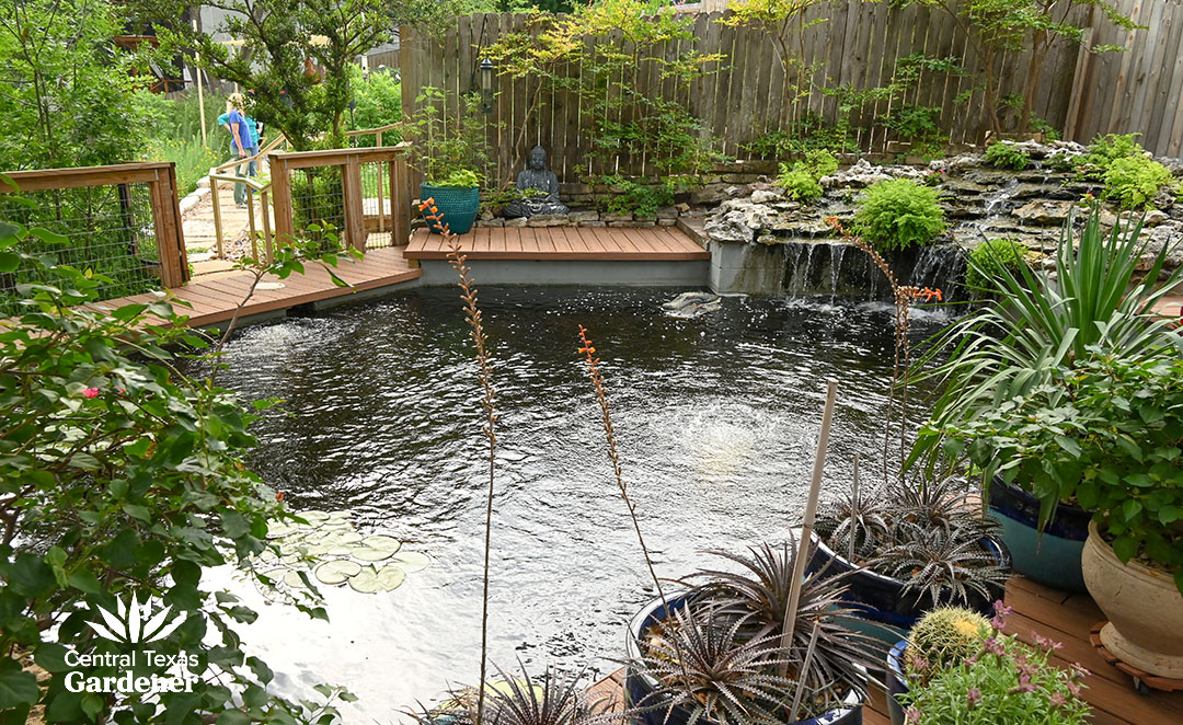 pond with waterfall
