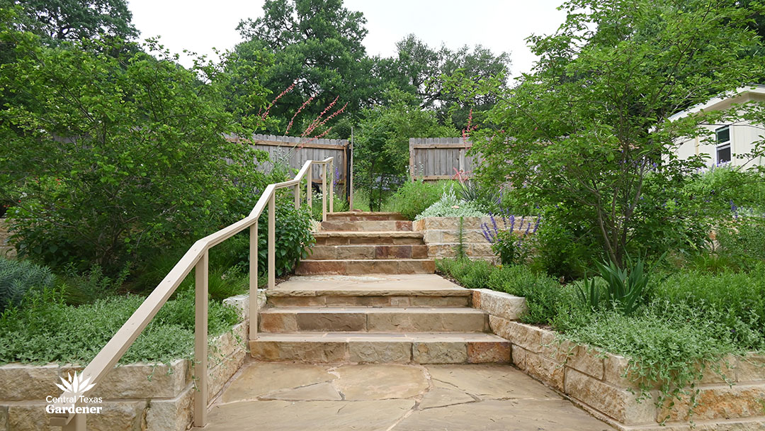 sandstone staircase banked by two small shrubby trees