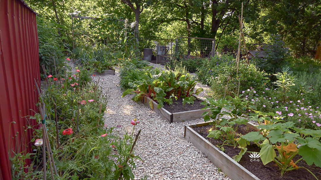 wooden raised vegetable beds on gravel path