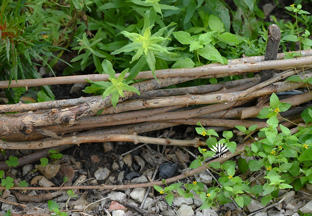  twigs woven together to form an edging 