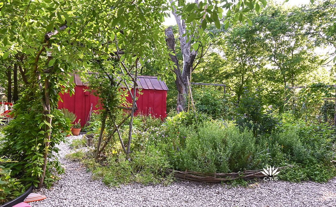 tree limb arbor on gravel path connecting two garden beds; each side entwined with vines