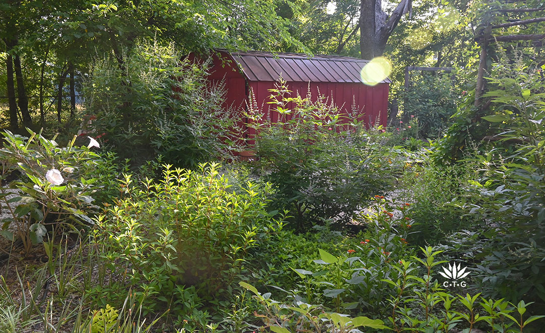 island garden bed filled with perennials of different kinds 