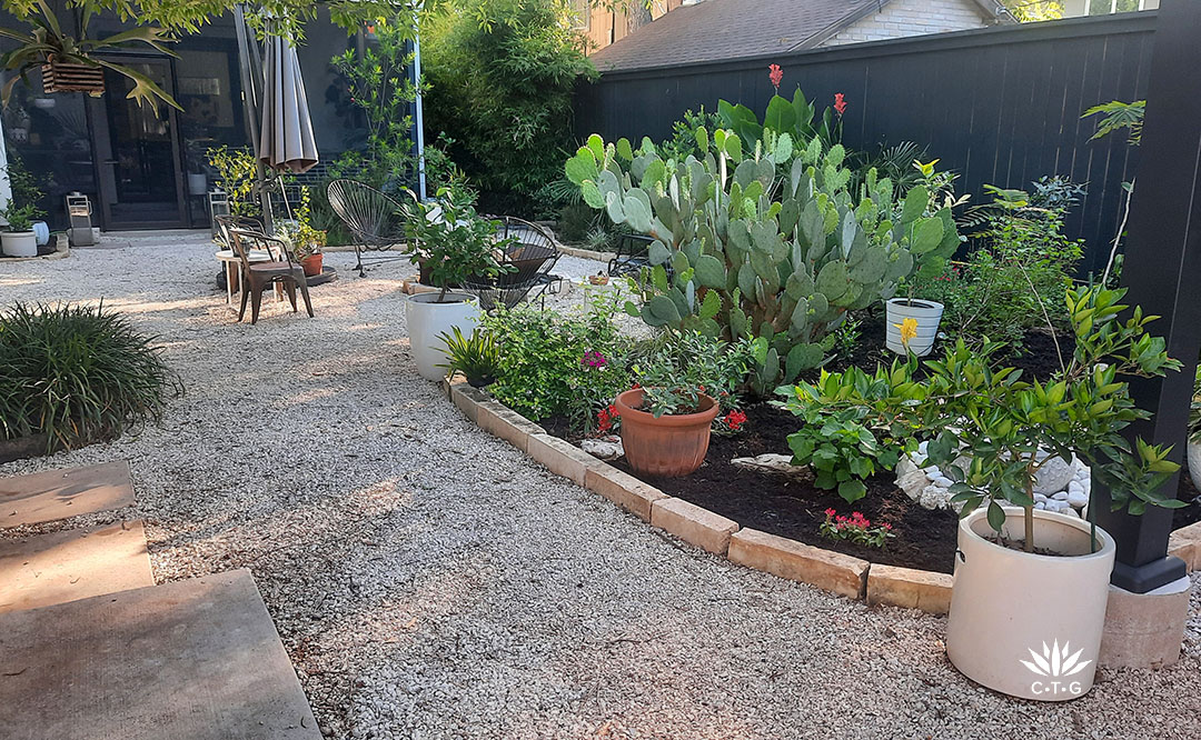 oblong planting bed edged with limestone and filled with various heights and textures of plants, including a large prickly pear cactus