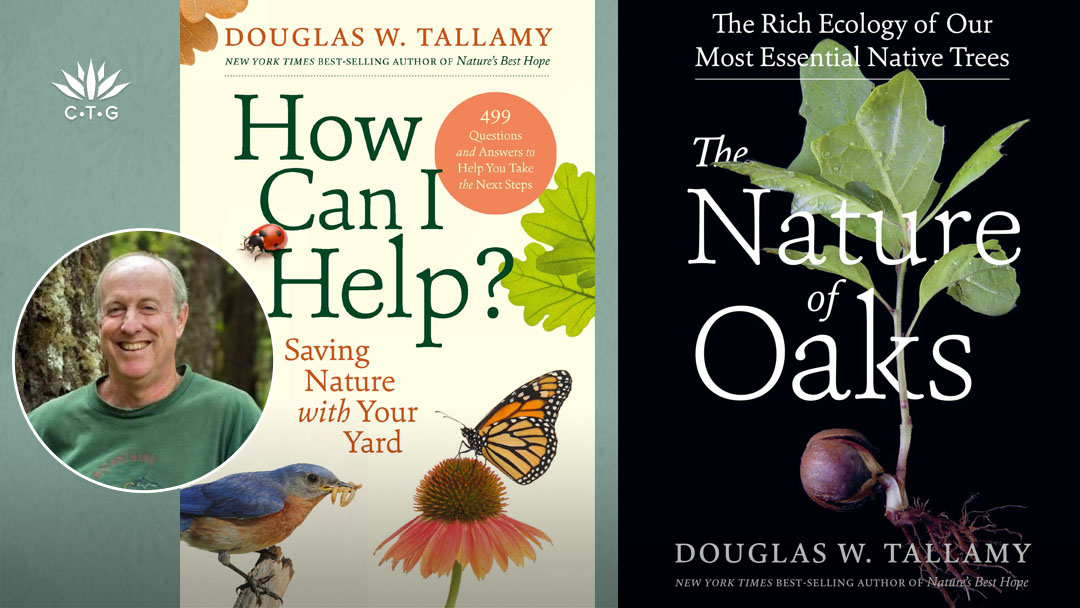 How Can I Help and The Nature of Oaks book covers with insert photo of Doug Tallamy
