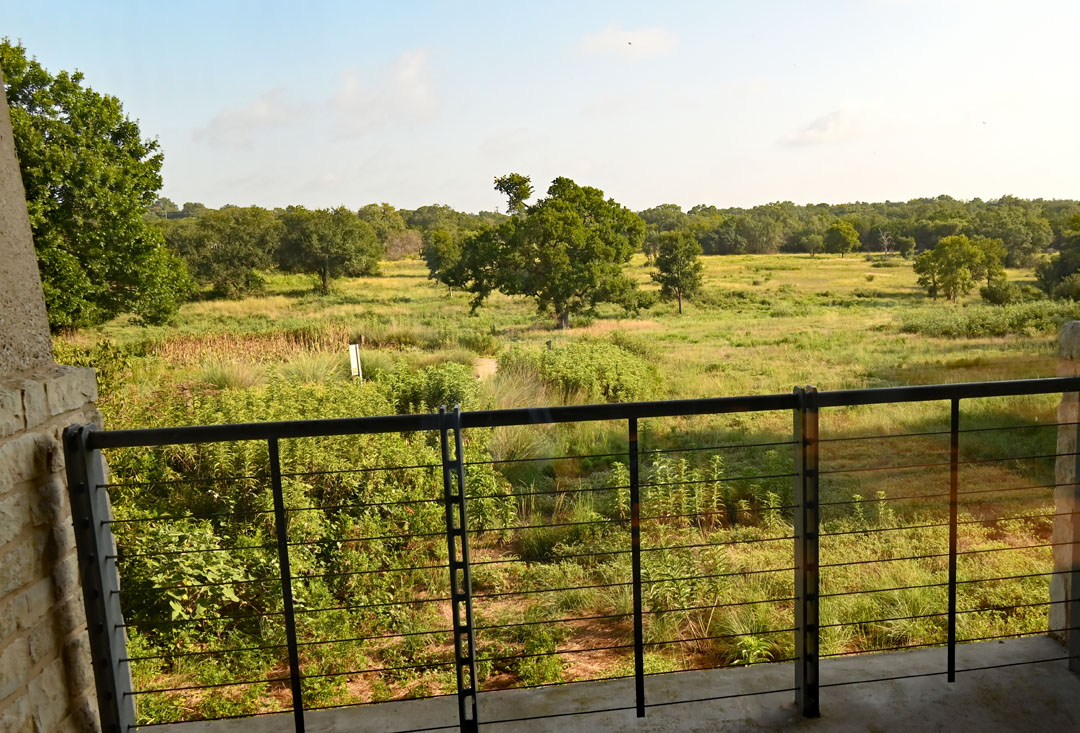 balcony overlookking grasses, trees, perennials in field at the Wildflower Center