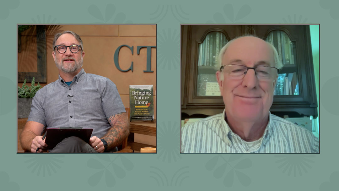 Two men in screen boxes over gray-green backgrounds