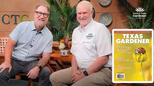 YOUTUBE_Interview Jay White_ 3006